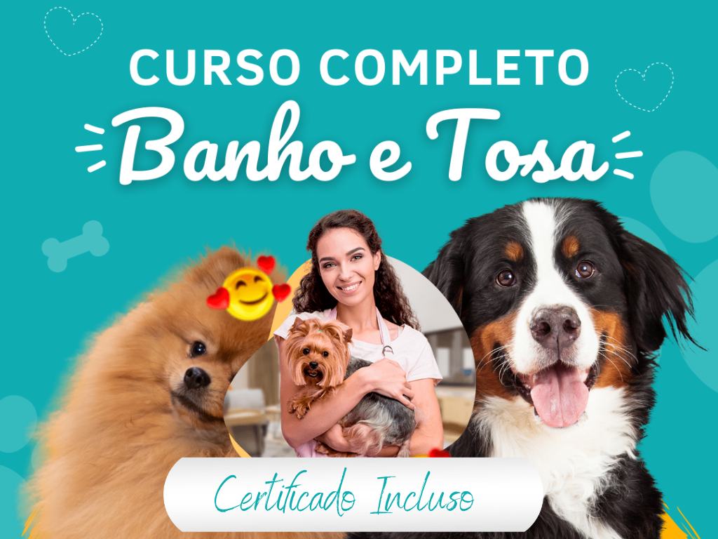 Certificação Nacional: Curso Online de Banho e Tosa em Coimbra.